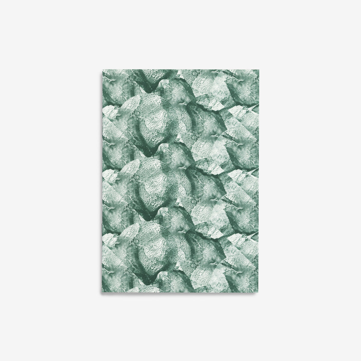 Notizbuch Glacier N° 4 – Forest