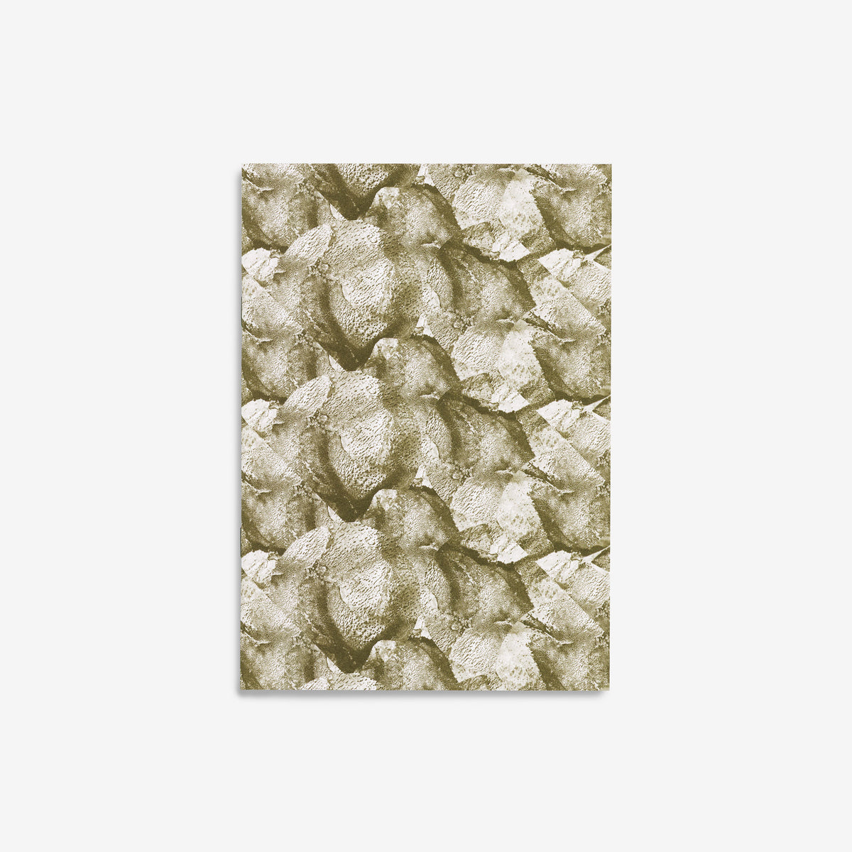 Notizbuch Glacier N° 4 – Moss
