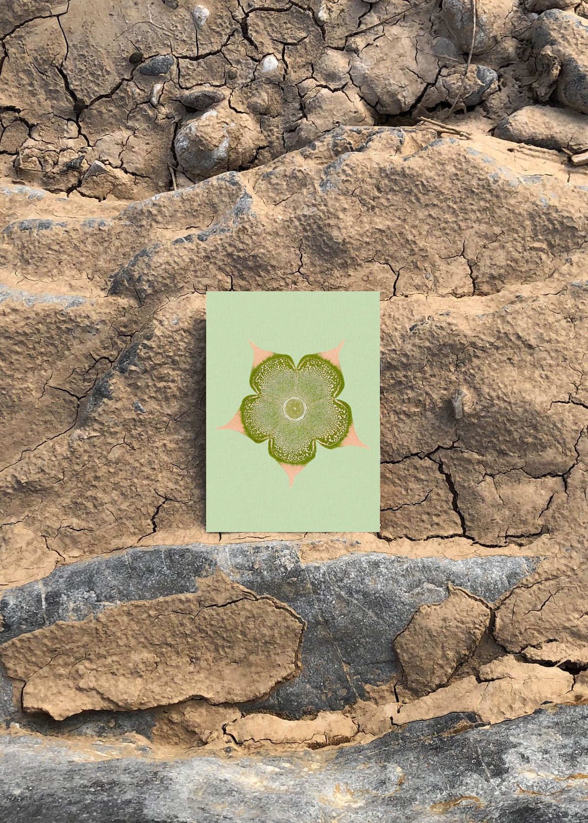 Kartenset N° 15 – Ephemeral Blooming-5