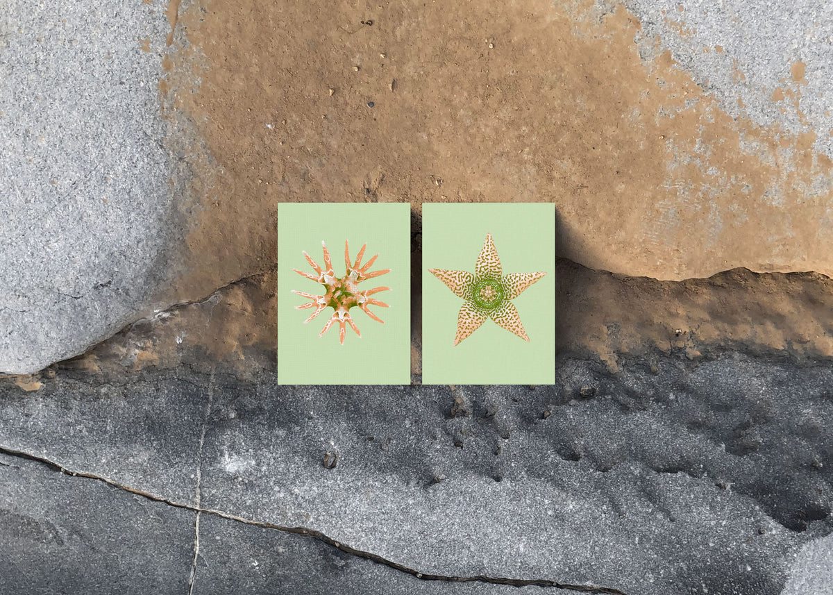 Kartenset N° 15 – Ephemeral Blooming-7