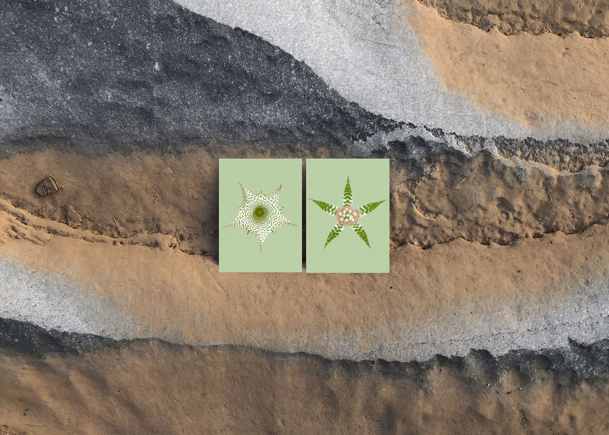 Kartenset N° 15 – Ephemeral Blooming-3