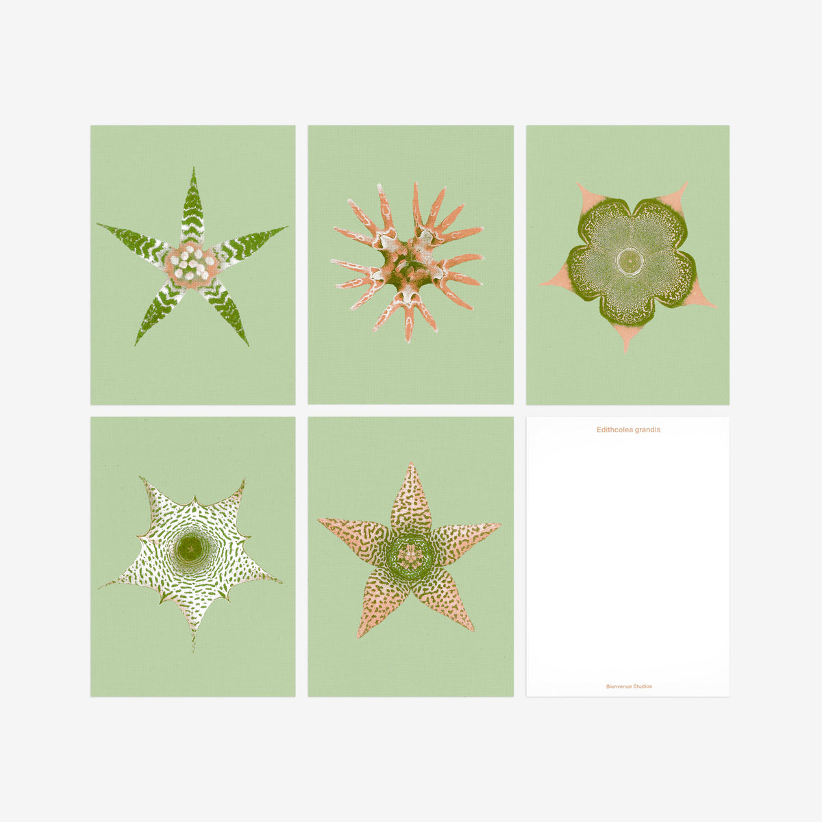 Kartenset N° 15 – Ephemeral Blooming