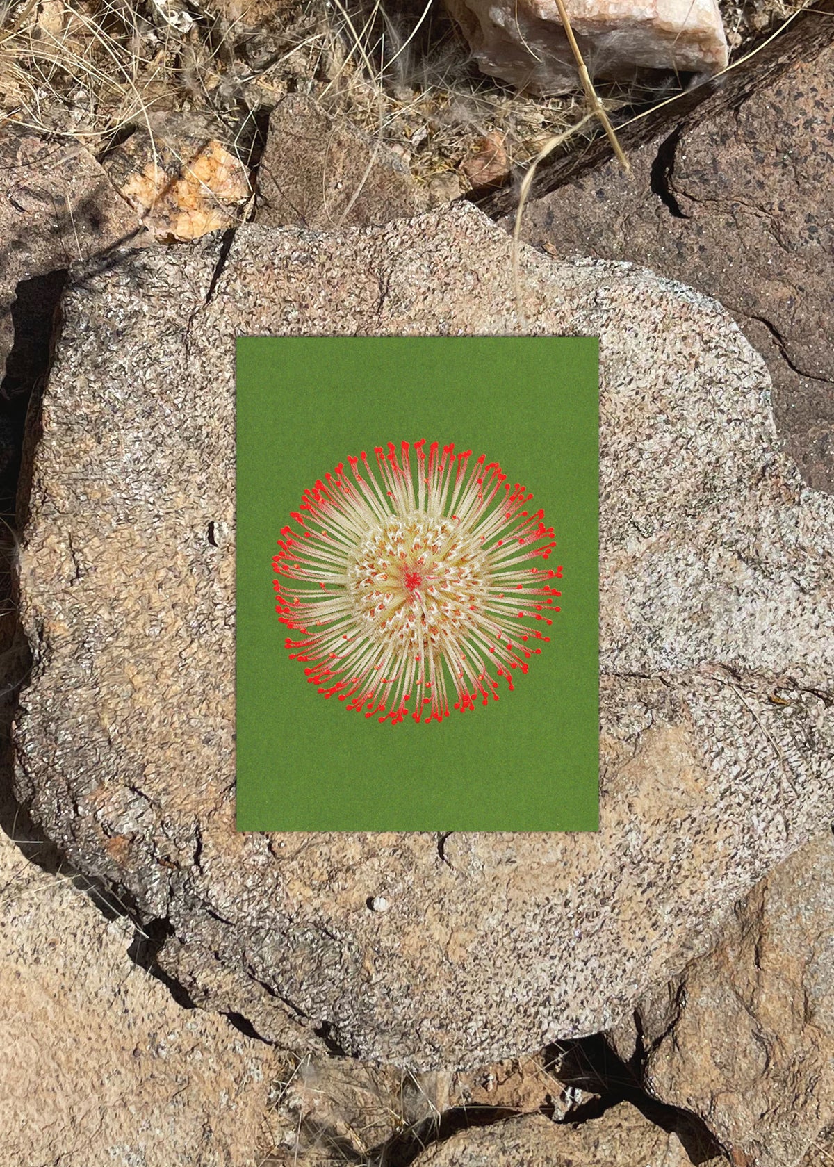 Kartenset N° 19 – Fire Flowers-5