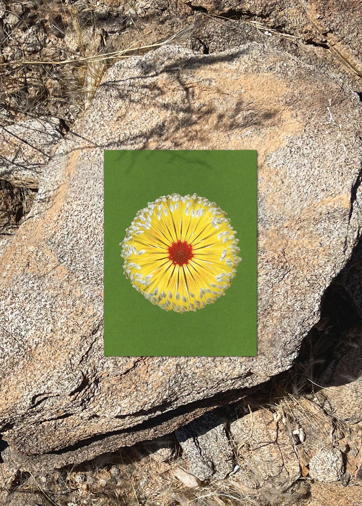 Kartenset N° 19 – Fire Flowers-3