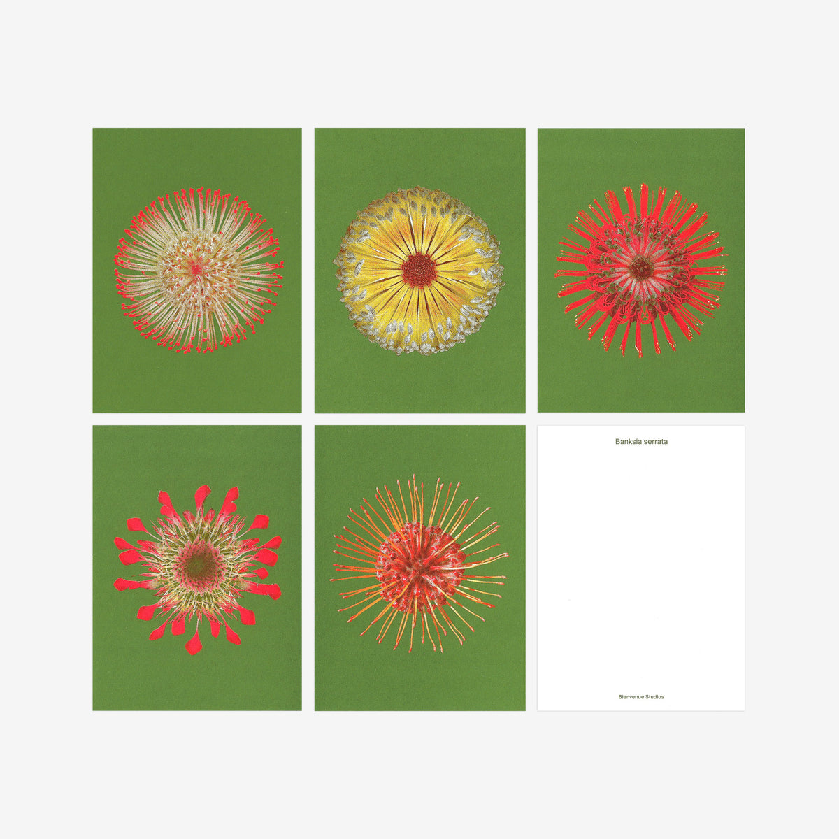 Kartenset N° 19 – Fire Flowers