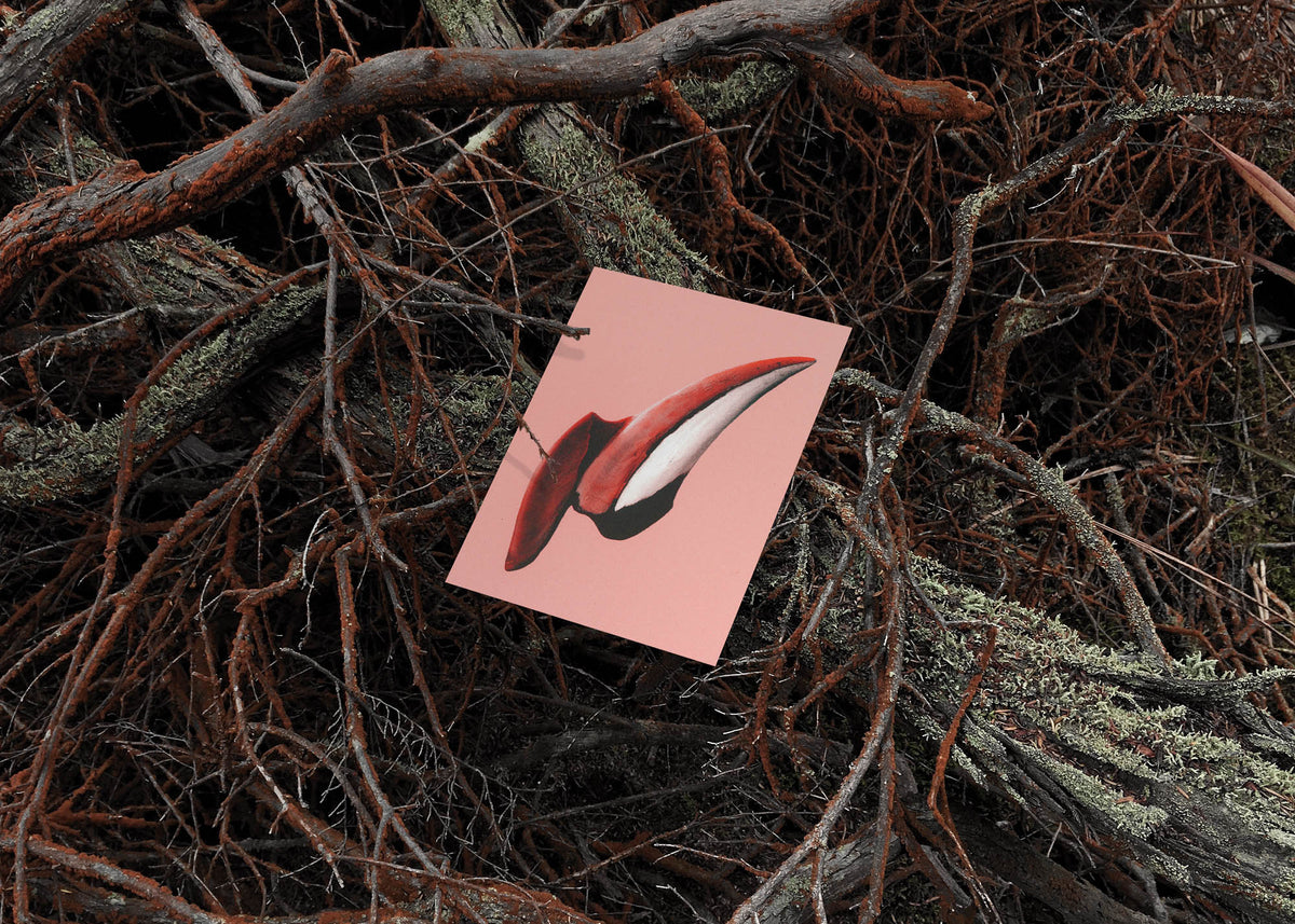 Kartenset N° 8 – Gentle Knife