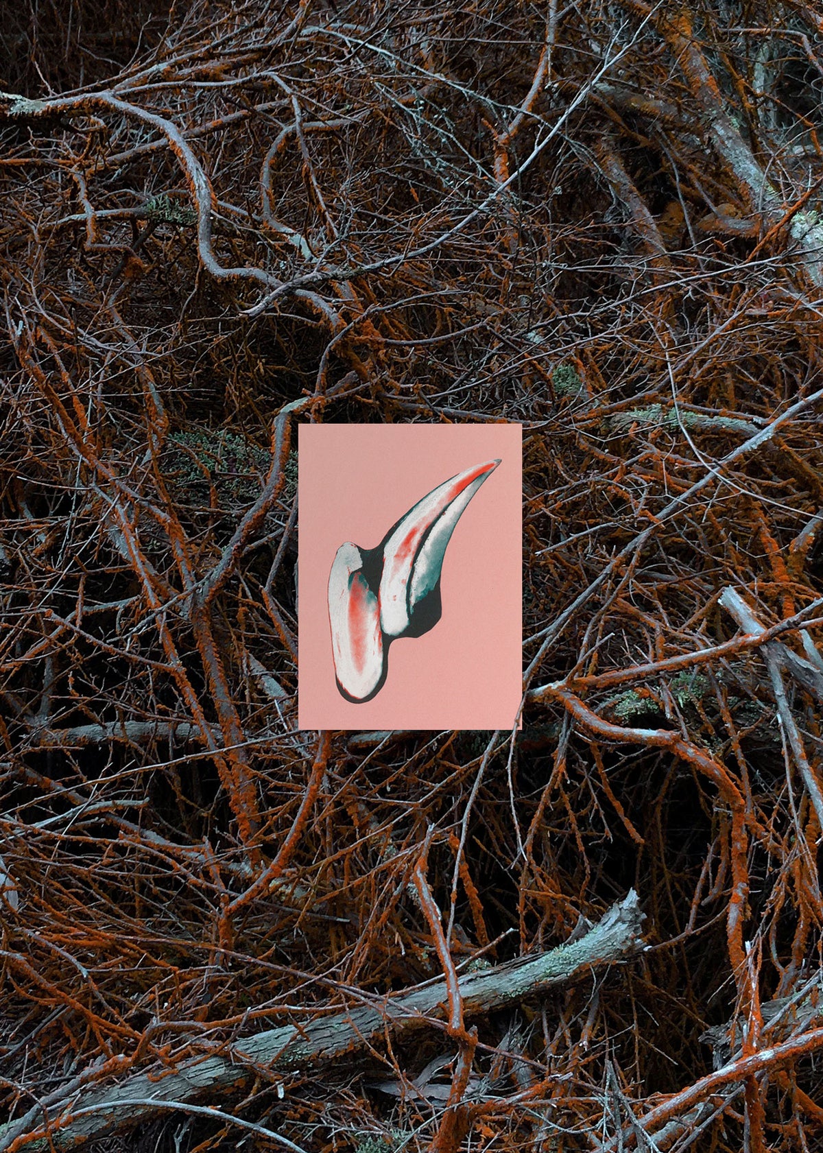 Jeu de cartes n° 8 – Gentle Knife-3