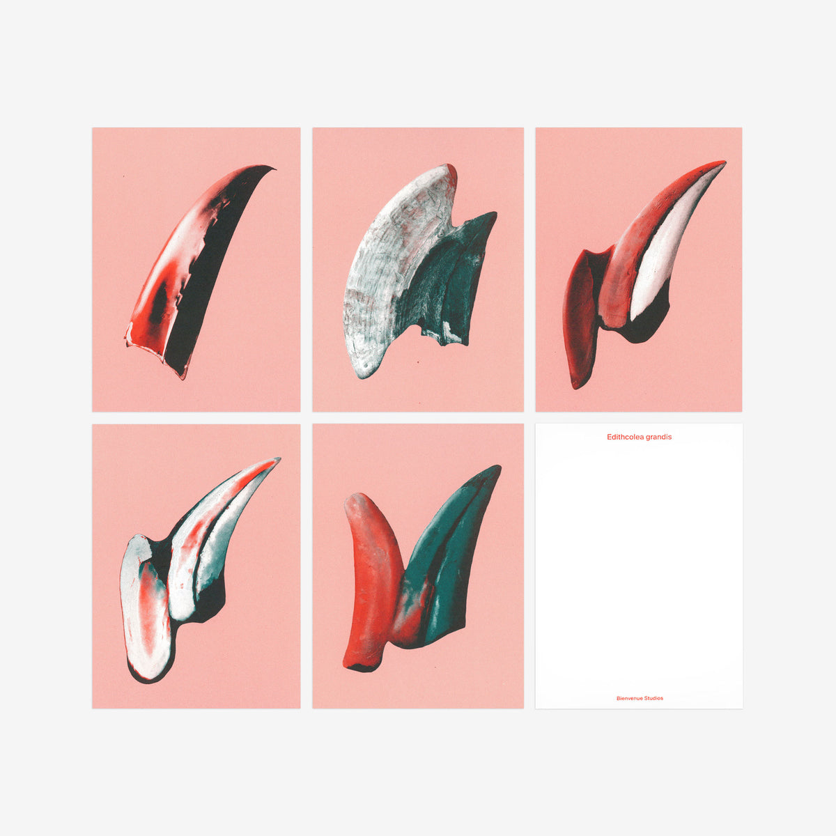 Kartenset N° 8 – Gentle Knife
