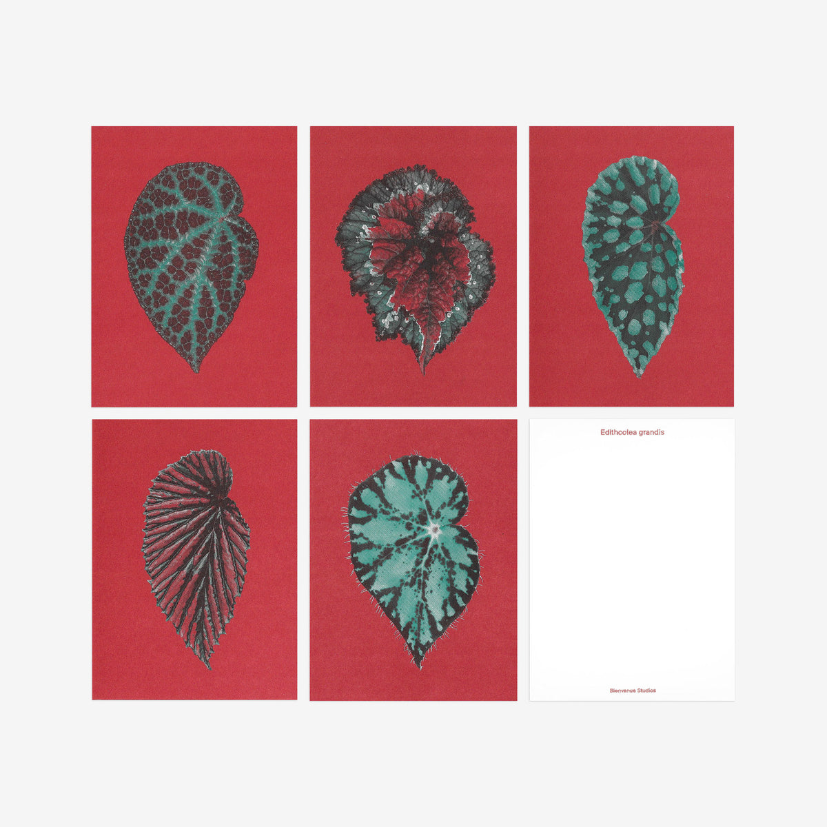 Kartenset N° 12 – Leaves of Friendship