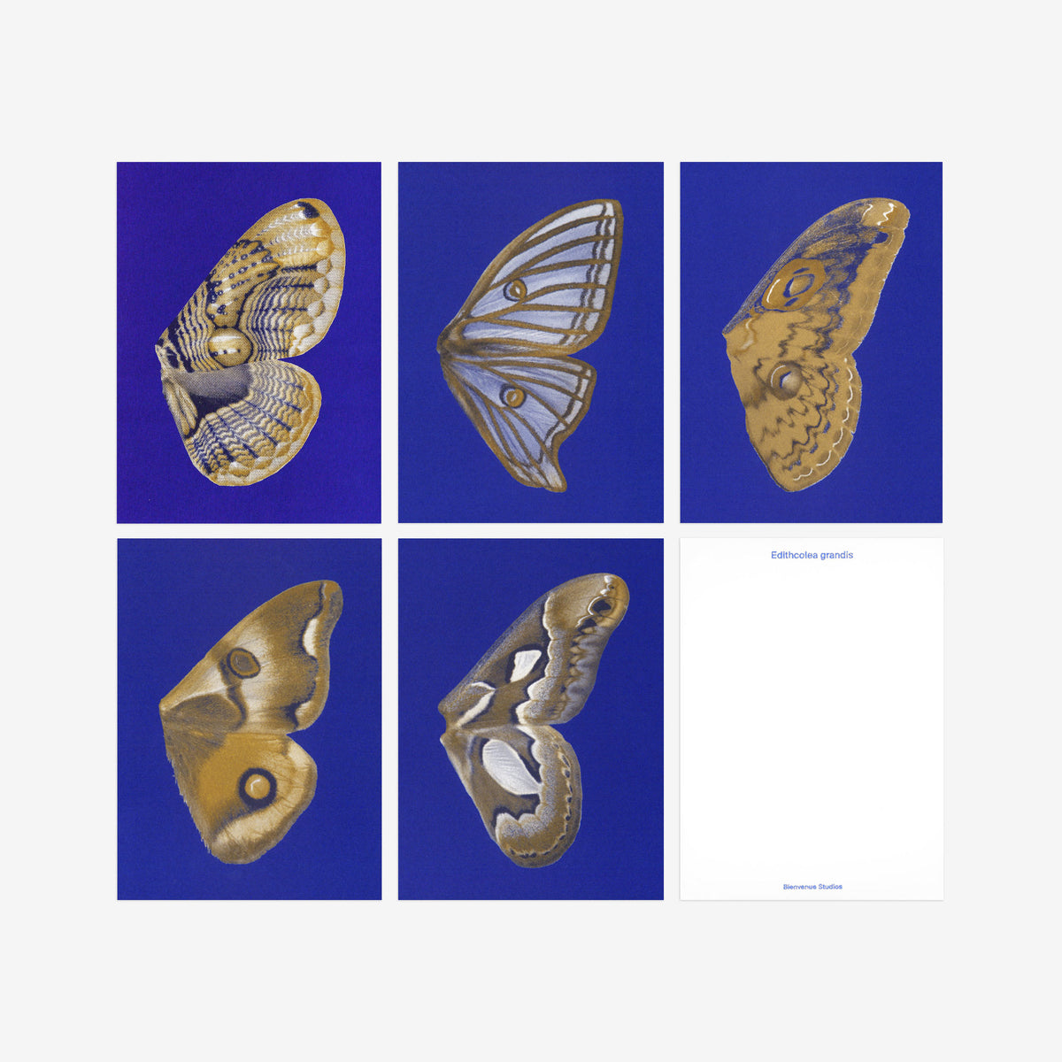 Kartenset N° 14 – Moon Fluttering