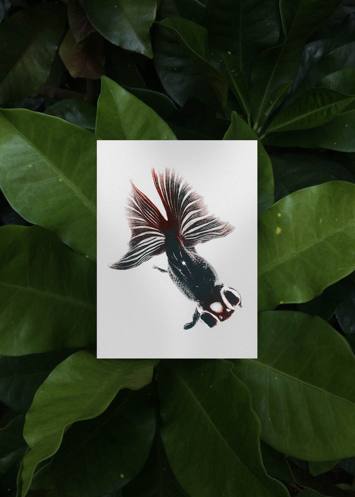 Card Set No. 2 – Morbid Being-4