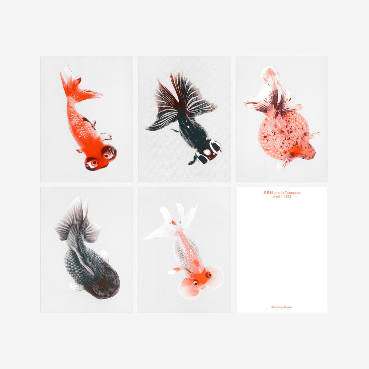 Kartenset N° 2 – Morbid Being