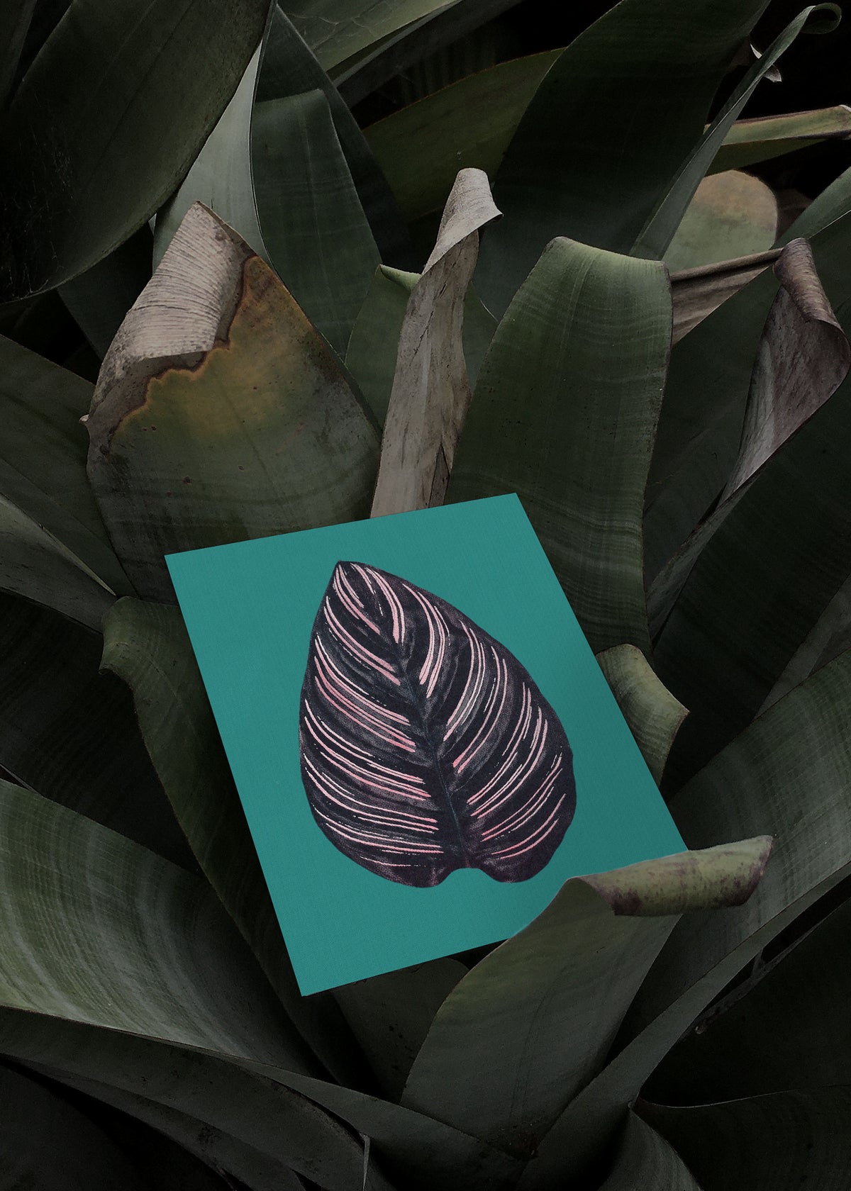 Card Set No. 17 – Praying Hands-5
