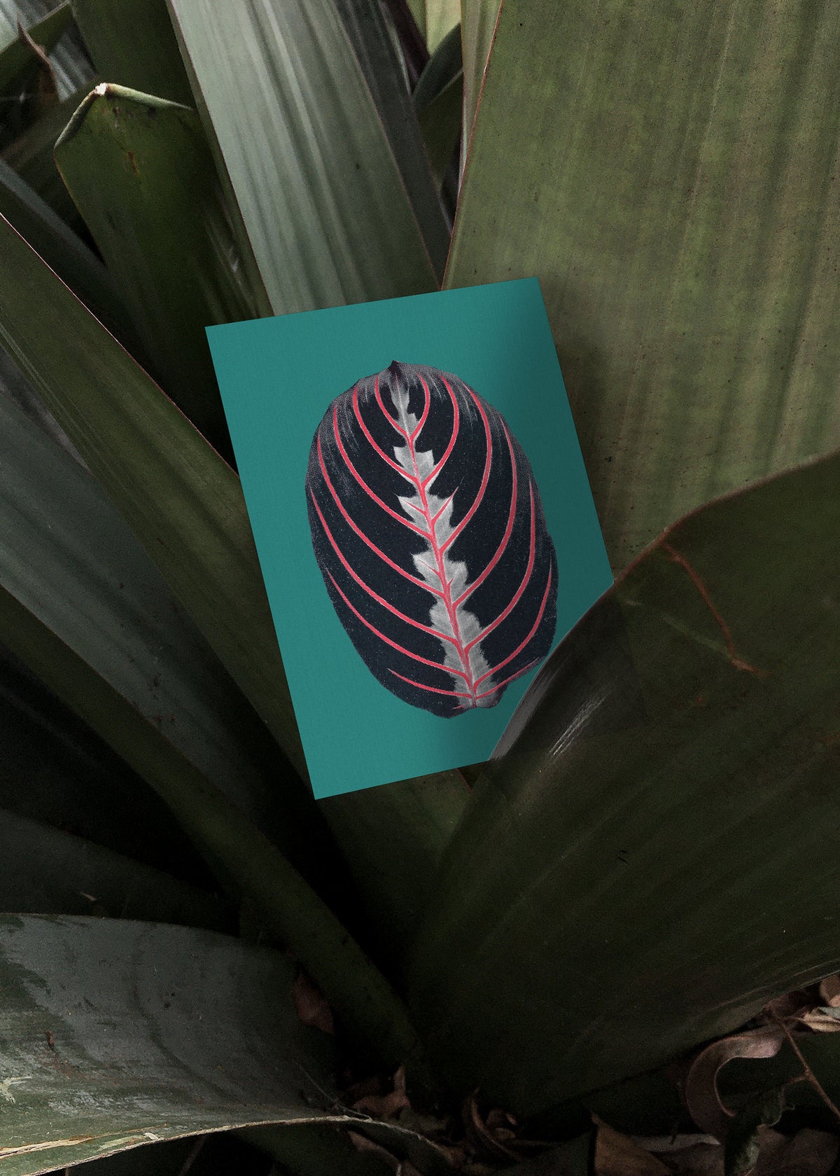Card Set No. 17 – Praying Hands-3