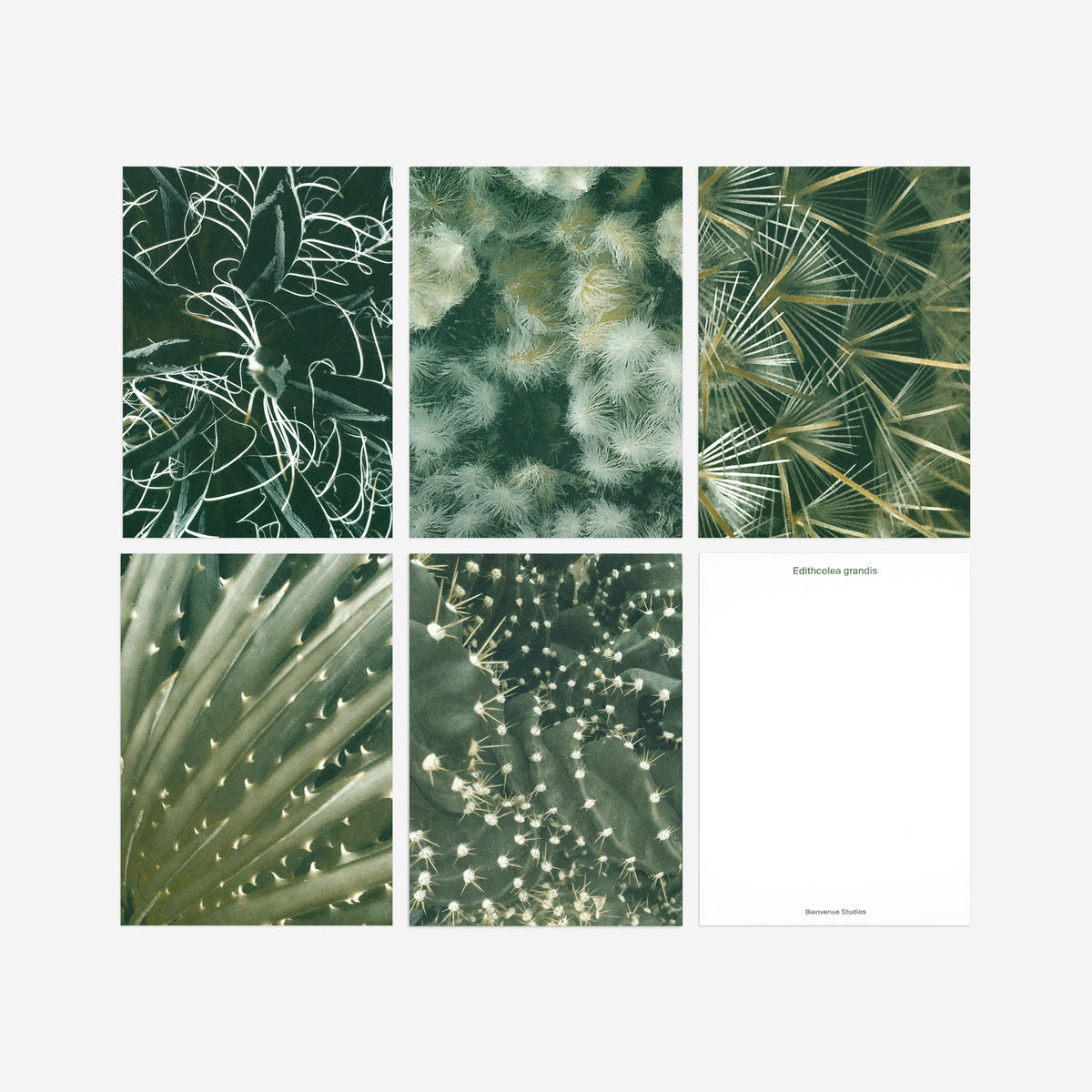 Kartenset N° 6 – Quiet Water