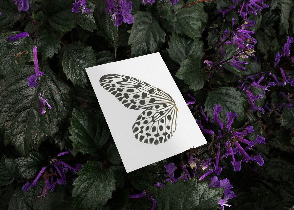 Kartenset N° 13 – Sun Fluttering