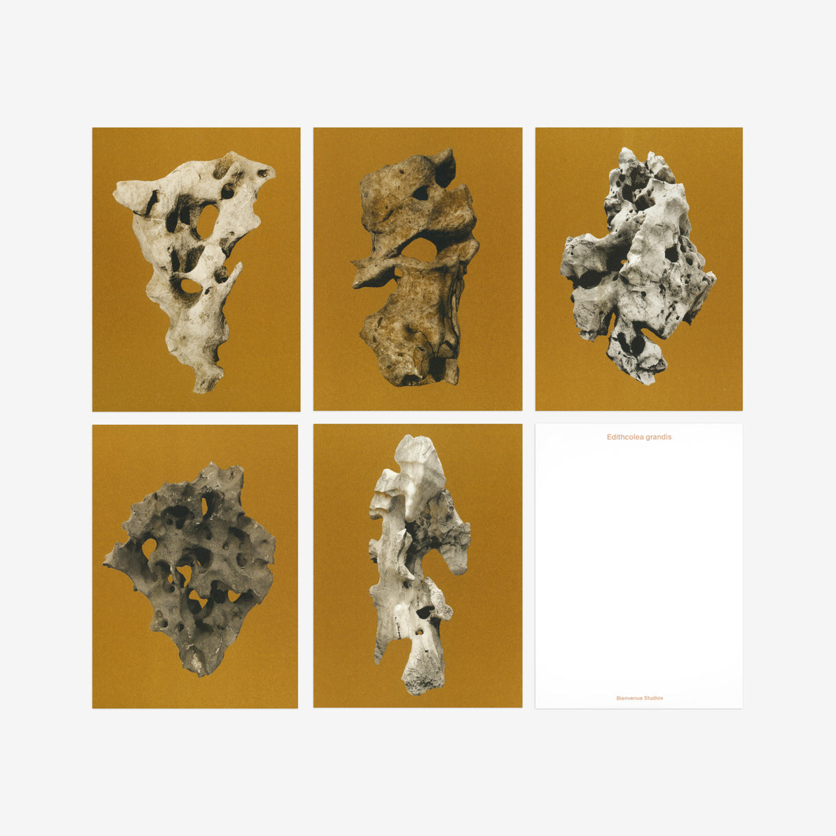 Kartenset N° 7 – Viewing Stones