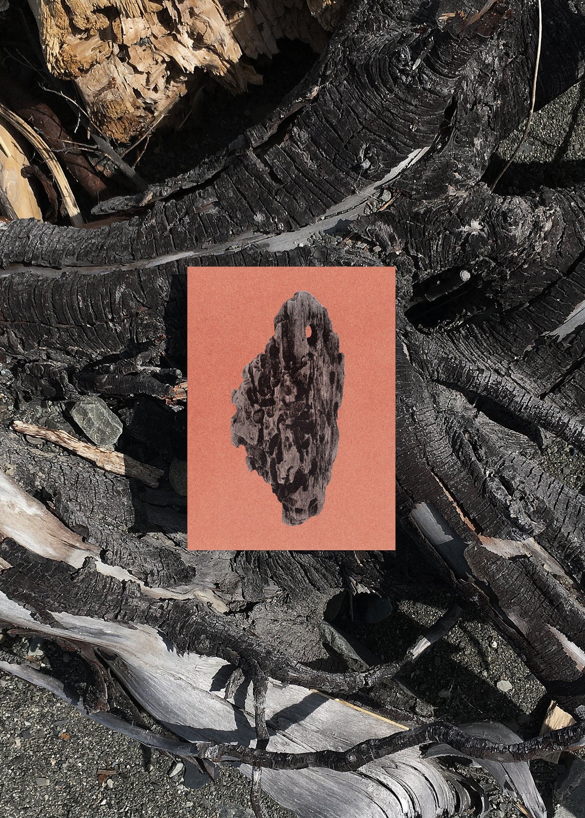 Card Set N° 18 – Virtues of Wood-7