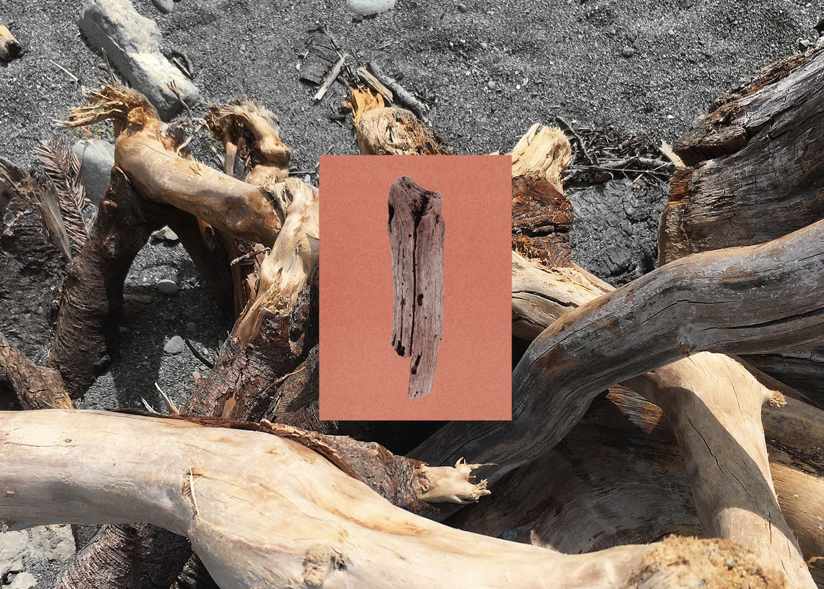 Card Set N° 18 – Virtues of Wood-5