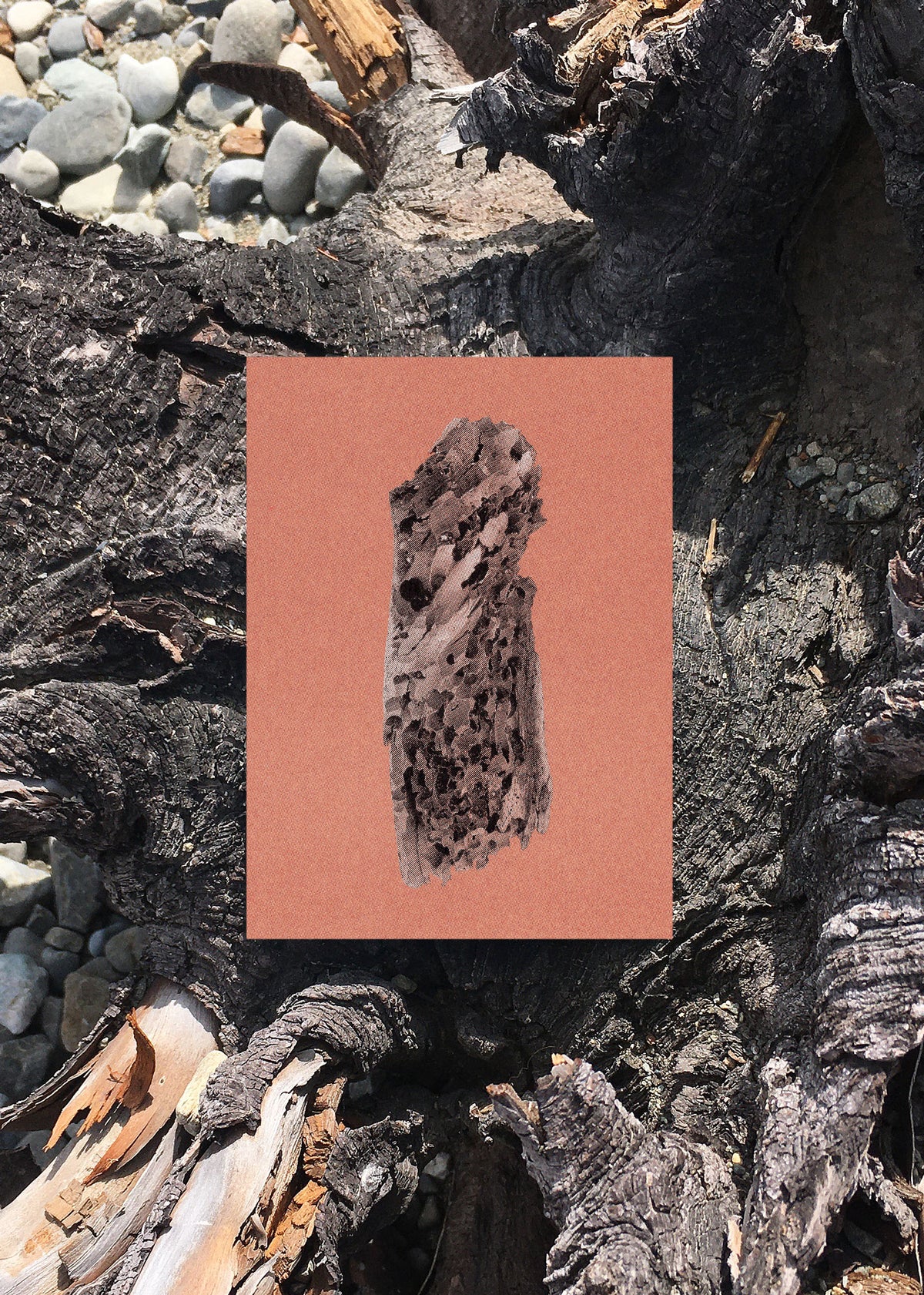 Card Set N° 18 – Virtues of Wood-3