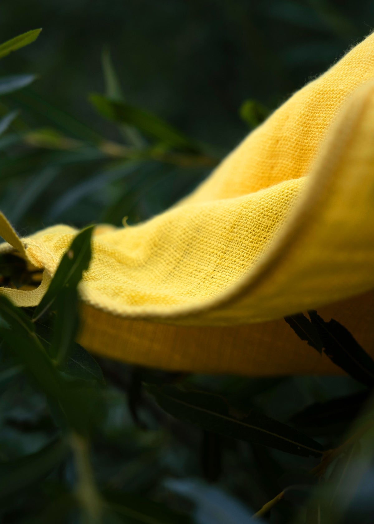 Japanese Towel M – Sun-3