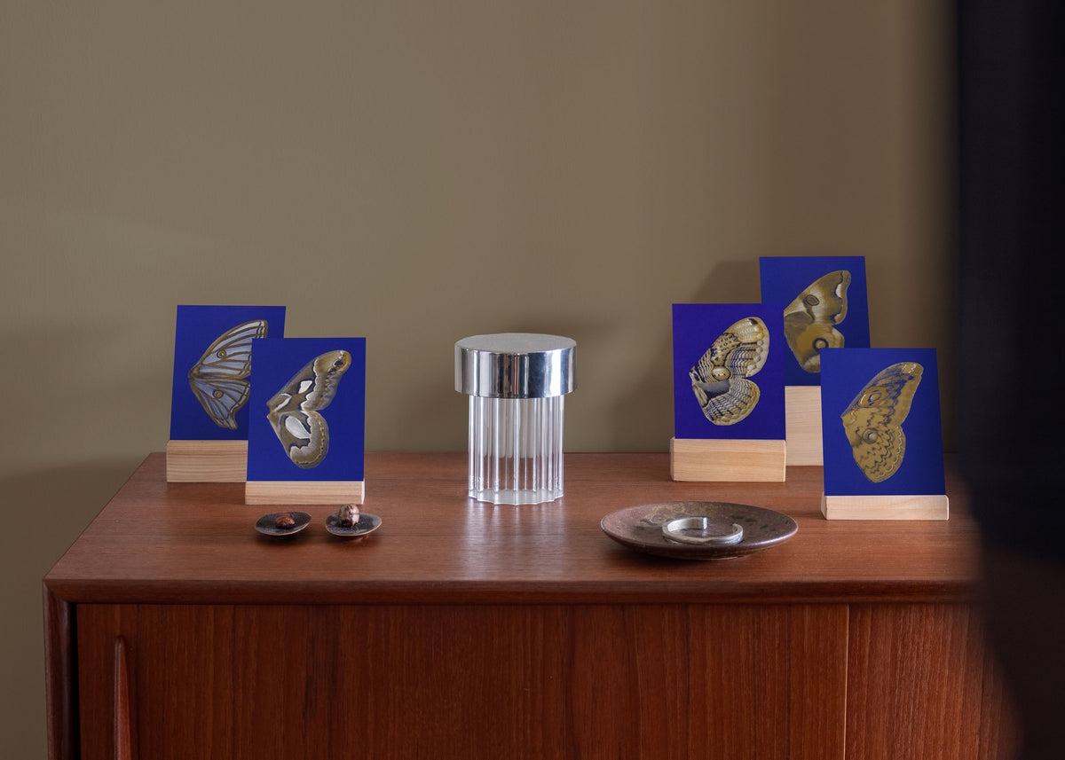Kartenset N° 14 – Moon Fluttering