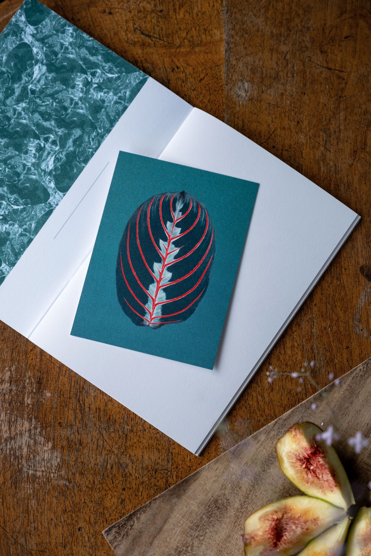 Glacier Notebook N° 3 – Forest-4